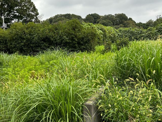 プロの技術でご満足いただけるように心を込めて作業いたします！女性スタッフ同行可