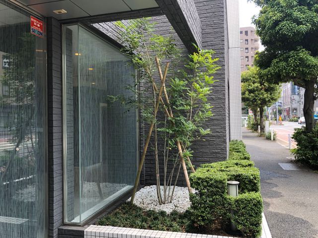 《植木屋を始めてから10年目》神奈川県を中心に対応中◎