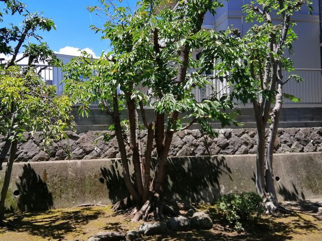 【8月出店】地元密着で実績1000件！大手経験を活かした丁寧な作業