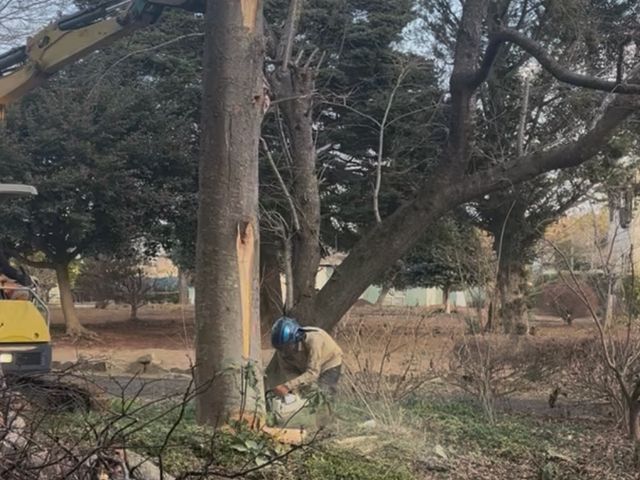 庭木の伐採抜根から山林伐採や開墾までご対応可能です！