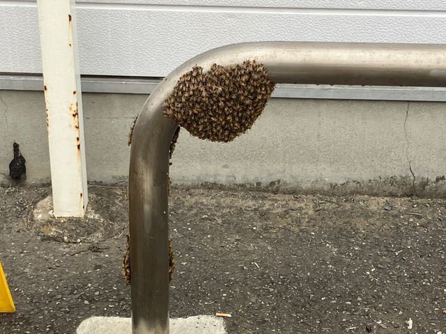 お客様のお力になります！経験と知識を活かして迅速丁寧に作業いたします