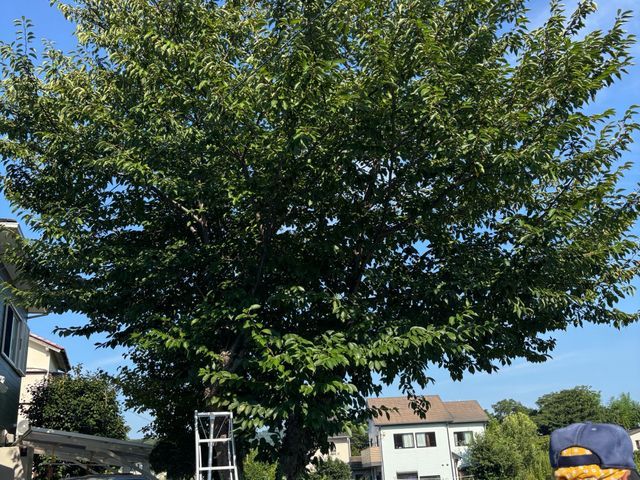 プロの技術でご満足いただけるように心を込めて作業いたします！女性スタッフ同行可