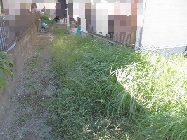 刃刈り後にナイロン当てもしますので、手取り除草に近い仕上がりに！！