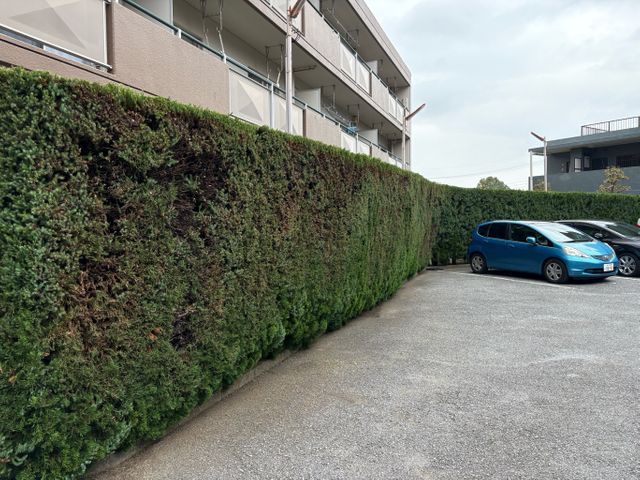 近隣の方への配慮も欠かしません◎損保加入、作業外注一切なし◎お気軽にご相談下さい