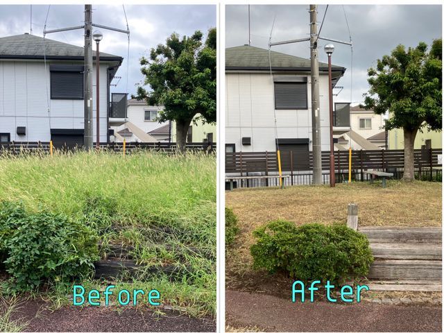 15年の経験と一級資格でお庭の健康と美しさ守る匠の技