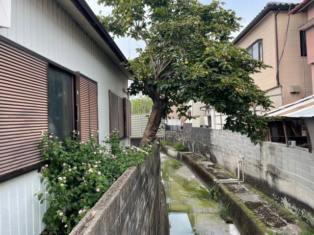 お庭の草木の伐採お任せください！