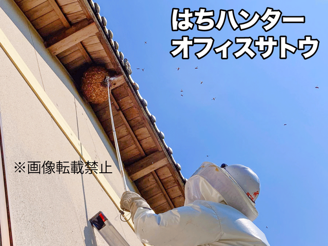 蜂駆除専門はちハンターオフィスサトウ