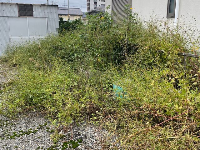 ★お庭☆アパート☆空き地★空き家の草刈りお任せください