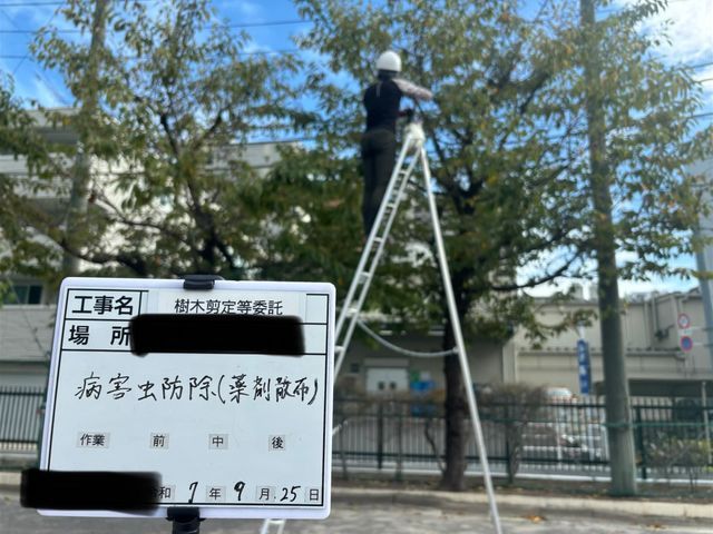 毛虫対策は発生前から！本数に応じて5割以上割引あり！