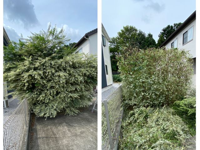 経験を活かしお庭を綺麗にお手入れします！！