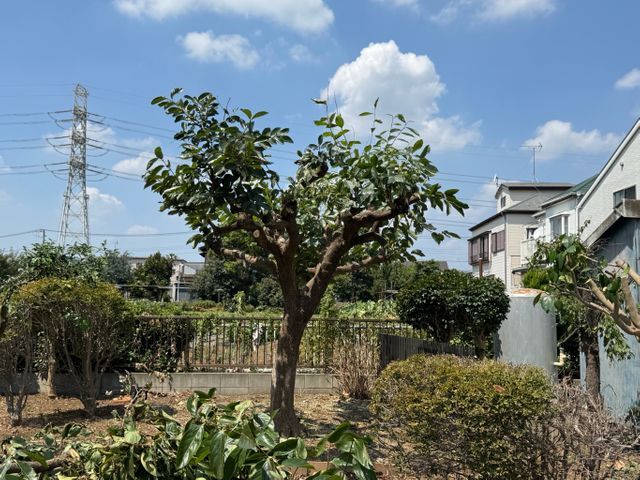 プロの技術でご満足いただけるように心を込めて作業いたします