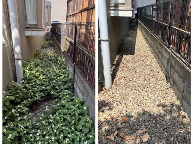 【圧倒的な提案力と説明力！】元サラリーマンだからこその丁寧説明◎植物が大好きです