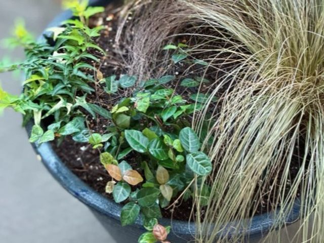 経験10年以上！農業経験者の女性店長が丁寧にご自宅へ訪問します