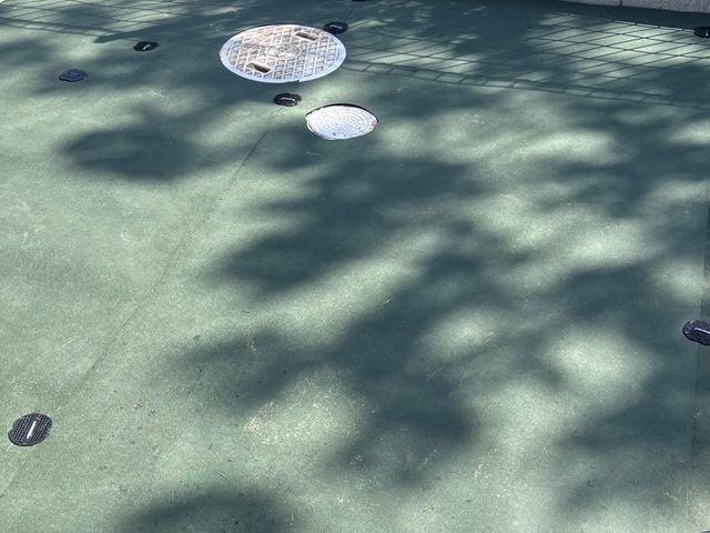 綺麗な庭、防犯対策にも最適！