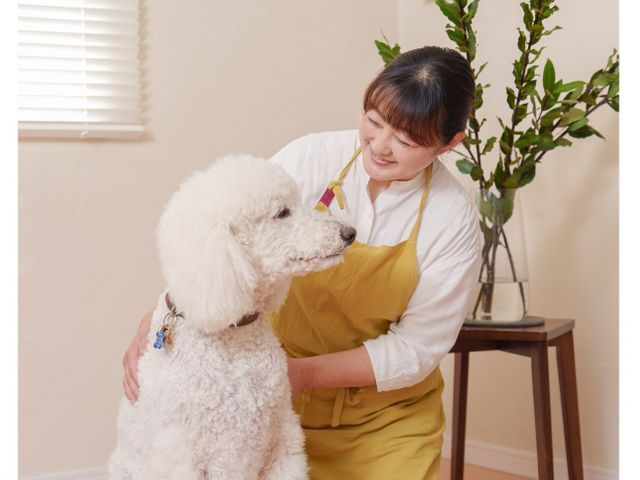 【老犬・老猫・保護ホーム運営】シニア・大型犬・多頭飼いOK