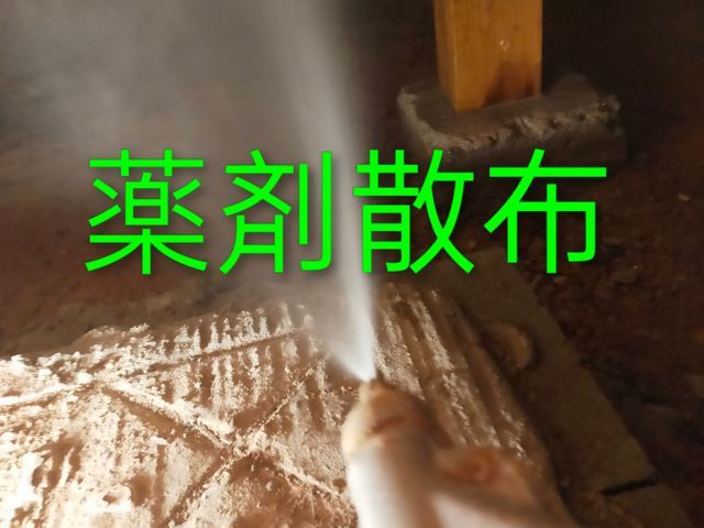 20年の実績◎玄関・お風呂タイル、外回りまで〜隅々まで丁寧な施工◎防除施工士保有