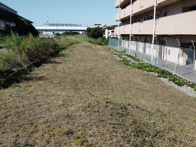 安全第一！迅速・丁寧な作業で、お庭の悩みを解決します！