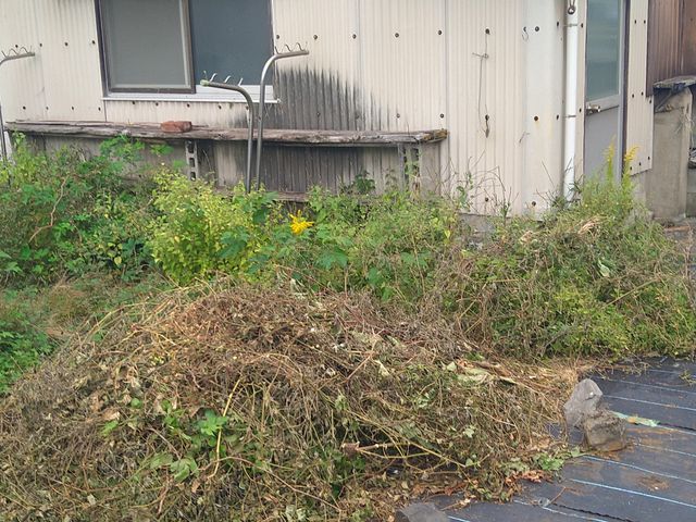 庭の魅力を最大限に引き出す専門家、仕上がり重視で丁寧に作業いたします！