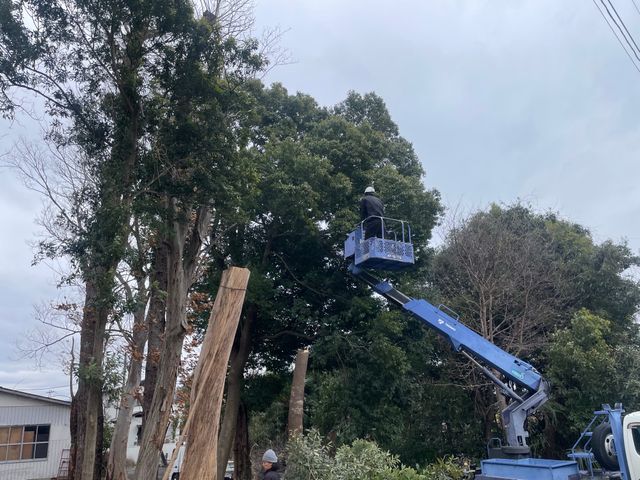 重機が入れない狭い場所でもお任せください！景観を整え、根ごと解決いたします。