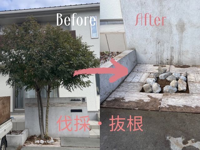 庭木の伐採・抜根｜1本から対応｜伸びすぎた木スッキリ撤去