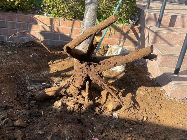 5年の実績と馬力が自慢！予算に合わせて丁寧に提案する安心の出張お手入れサービス