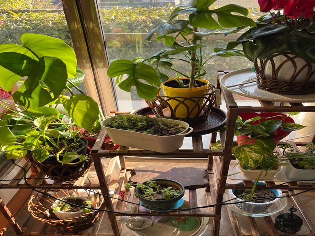 整理収納・お片付け