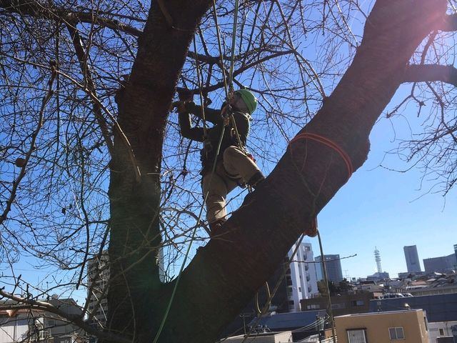 【年中無休！】土日祝もご予約大歓迎★業歴13年！実績あり★損害保険加入★