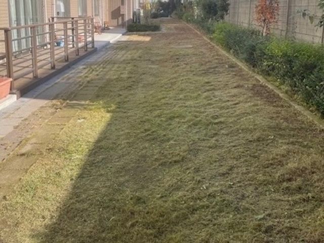 雑草に悩む前にお任せください。経験豊富なスタッフが庭や空き地を安全・快適に整備
