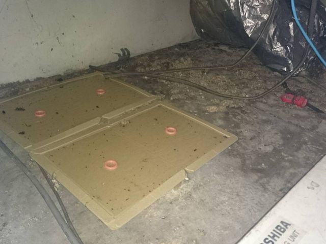 ネズミ駆除・防除