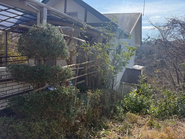 植え込み、生垣の剪定