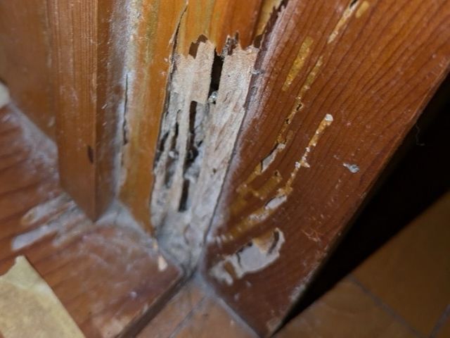 どんな現場でもシロアリを必ず完全駆除！作業説明で安心！5年保証いたします！防カビ