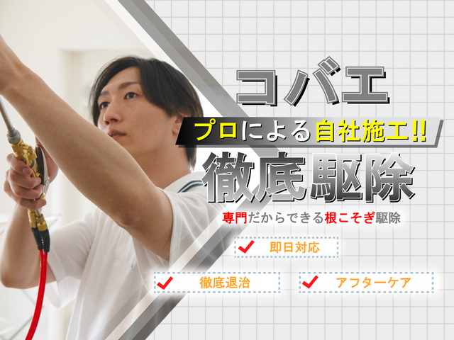 【徹底駆除】コバエ徹底駆除！繁殖しやすいコバエも完全駆除☆プロによる徹底施工！