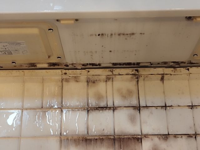 【1日1名様のみ】15年の実績と信頼！店長自ら丁寧に対応する安心の5点セットです