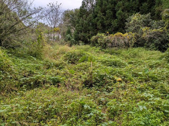 お客様のお力になります！経験と知識を活かして迅速丁寧に作業いたします