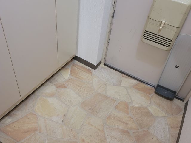 掃除のプロによる安心家事サポート