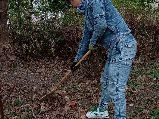 隅々まで綺麗に掃除致します！お庭や別荘地の落ち葉清掃はお任せ下さい！