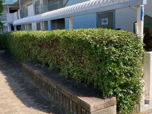 プロの技術でご満足いただけるように心を込めて作業いたします