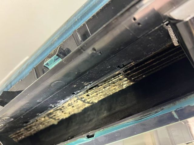 ぜひ皆さま、私までご予約ください！