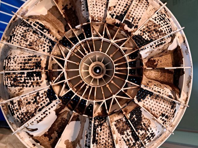 洗濯槽の裏側は洗剤残りとカビの温床です。きれいにはがしてお洗濯ものを清潔に！