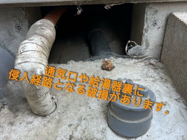 【被害続出中】私たちの解決策が確実に再被害を防いでおります。一度相談下さい！