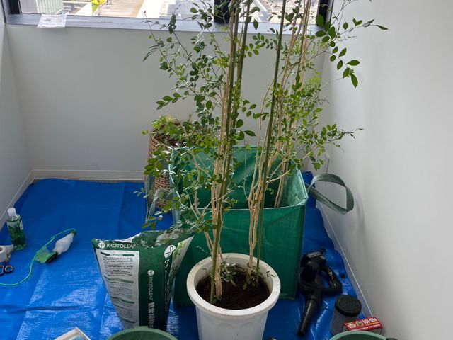 【業界20年！年中無休】100％自社対応◎営業時間外・対応地域外でもご要望OK！