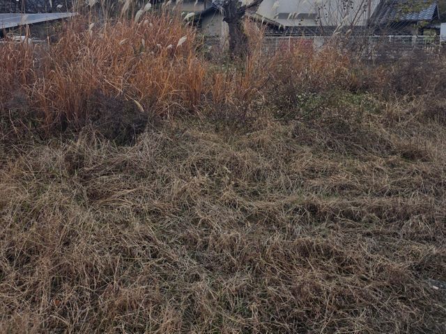 草刈り　草刈り機