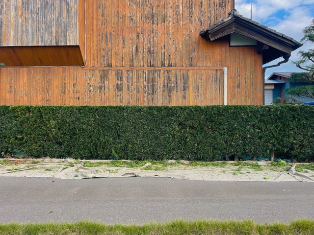 直線・曲線ともに、“線がしっかり出る”刈り込み