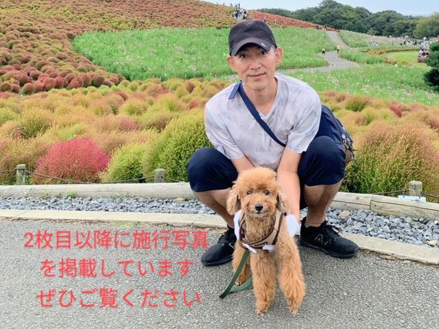 【地域密着　ＬＥＤ電球代込み】電気工事士が伺います！損害保険加入済みで安心です