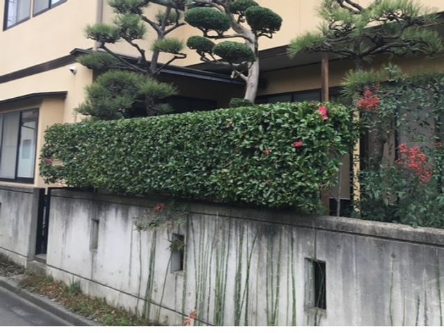 20年の実績！☆店長訪問☆早くて綺麗な仕上がり！