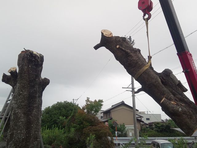 お客様のお力になります！経験と知識を活かして迅速、丁寧、安全に作業いたします。