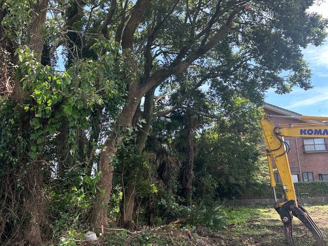 大きな木も対応可能！丁寧な説明と明朗会計でお庭をすっきりお届けします！