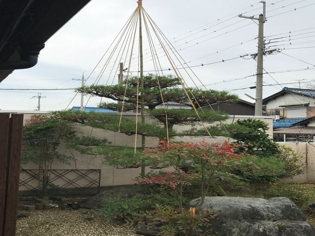 経験18年以上！年間120件の実績で美しい庭づくりをサポート