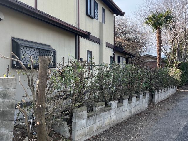 植え込み、生垣の剪定