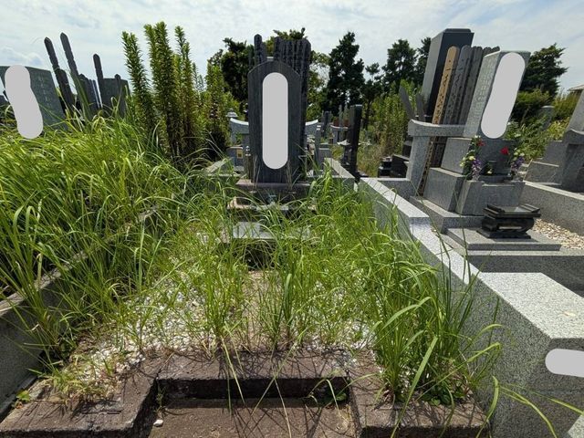 【お写真でご報告】お墓参り代行-墓石清掃、除草作業、献花、お線香込み